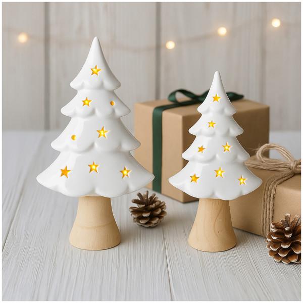 HTI-Living mit Leuchtsternen LED Winterbaum 2er Set