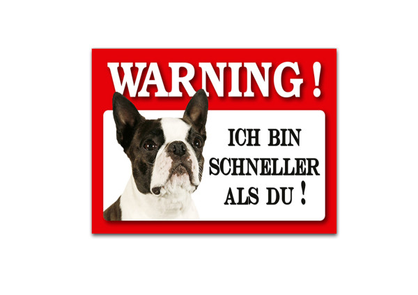 HTI-Line Französische Bulldogge Blechschild Wachhund