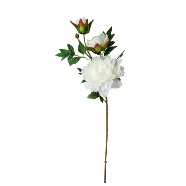 HTI-Living Flora Pfingstrose Weiß 74 cm Kunstblume