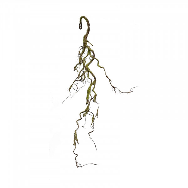 HTI-Living Flora Moos Girlande Hellgrün 91 cm Kunstpflanze