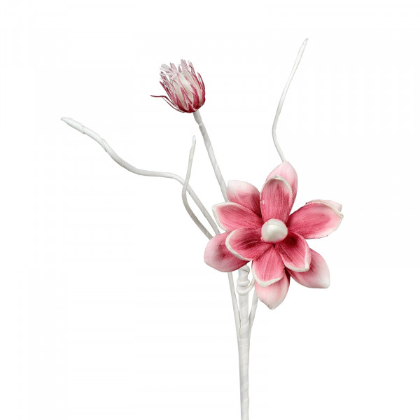Formano weiß-rose Blütenzweig