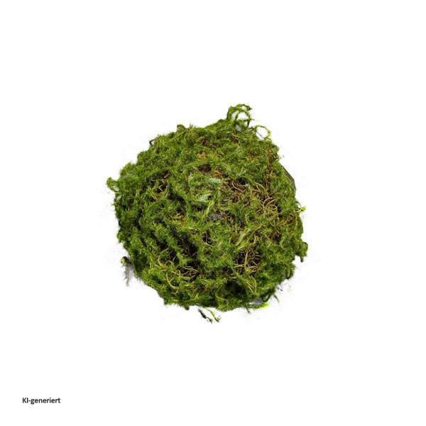 Mooskugel Flora01